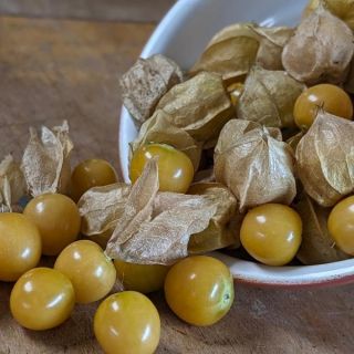 Aunt Mollys Organic Ground Cherries Thumbnail